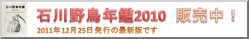 石川野鳥年鑑2010